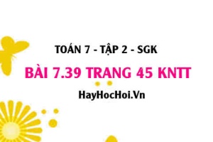 Bài 7.39 trang 45 Toán 7 Tập 2 Kết nối tri thức: Phép Chia và Phép Nhân Đa Thức